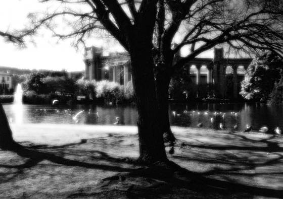 Palace_of_fine_arts