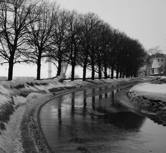 Turn_to_the_spring