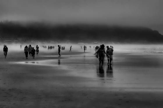 A_walk_in_the_mist_2