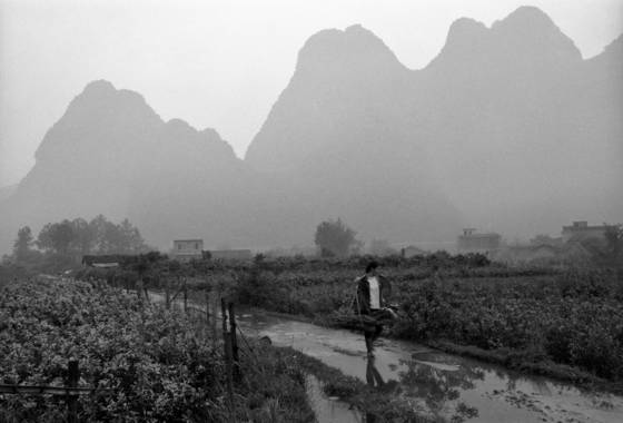 Untitled_4