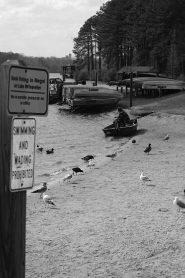 Fishing