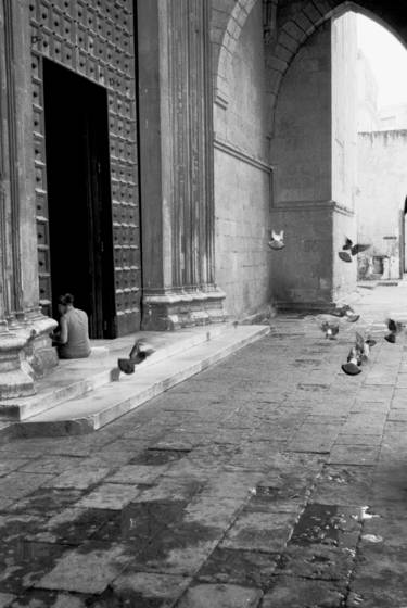 Church_pigeons