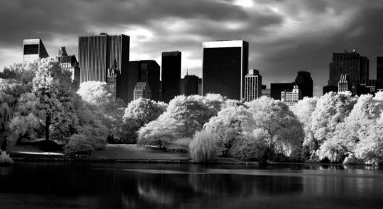 Central_park