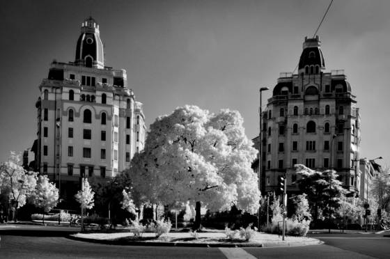 Piemonte_square