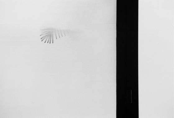 Minimal