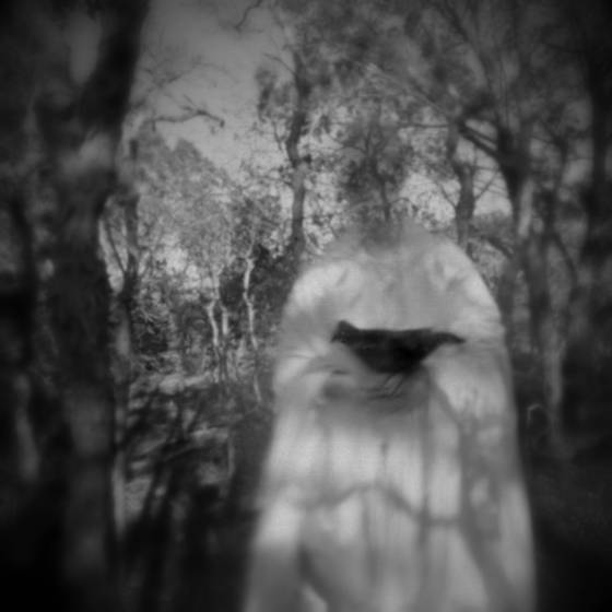 January_3__1_-_black_bird