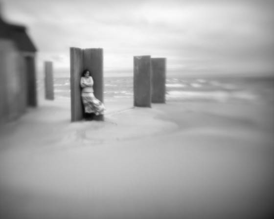 Shelter