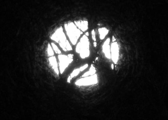 Into_the_abyss