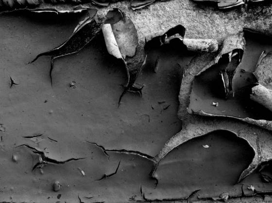 Decay