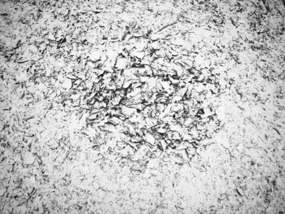 Transitory_3