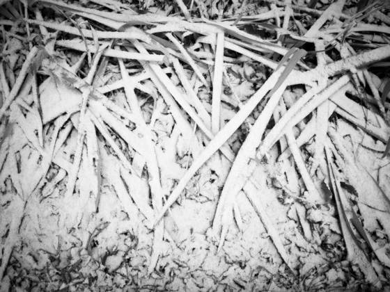 Transitory_7