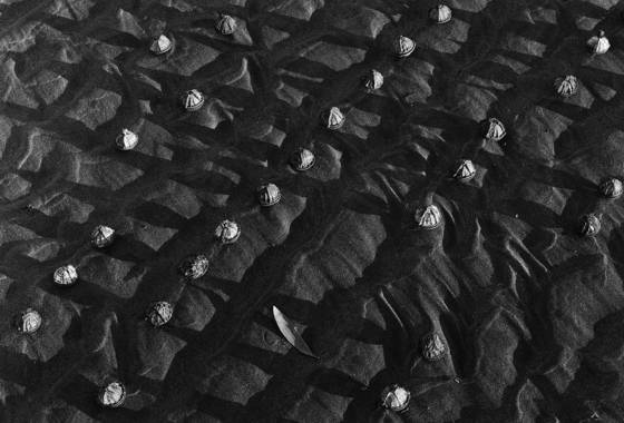 Lunar_landing