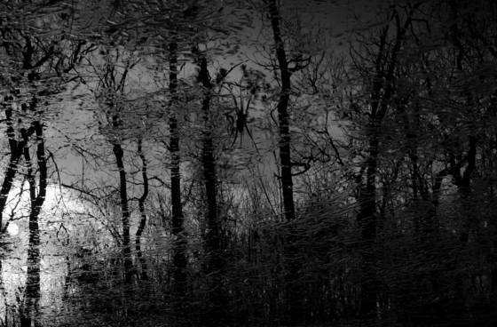 Swamp_wade_6
