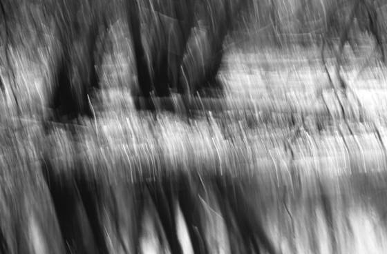 Swamp_wade_9