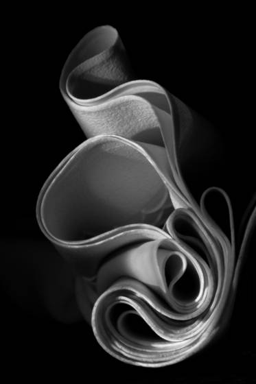 The_extraordinary_ordinary_rubber_gloves