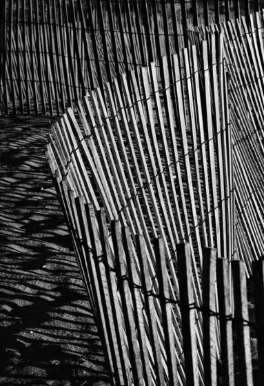 Fence_line_11