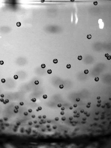 Untitled_4