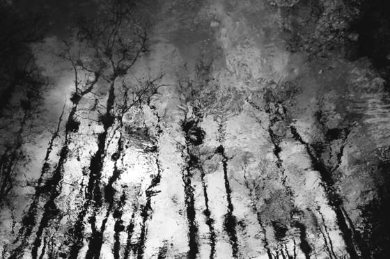 Untitled_12