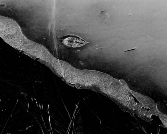 Elements_5