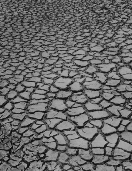Cracked_mud