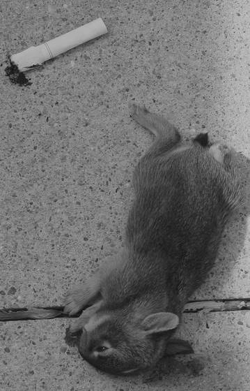 Side_effects_may_occur