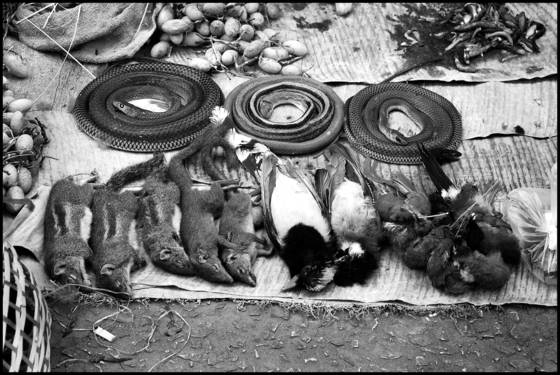 Market