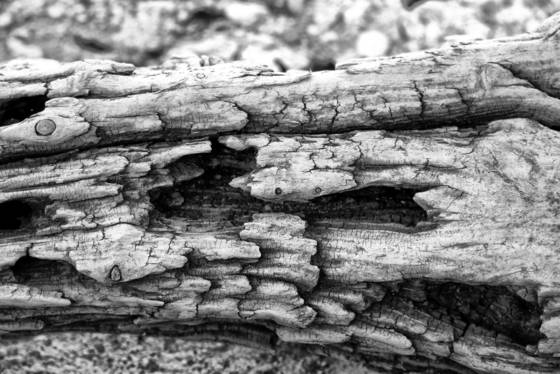 Untitled_1