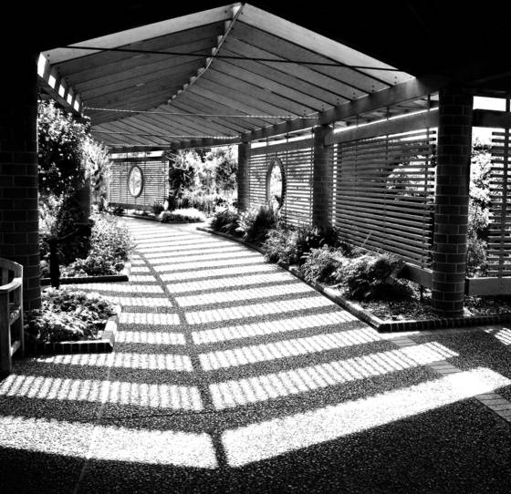 Spencer_garden_center_walk