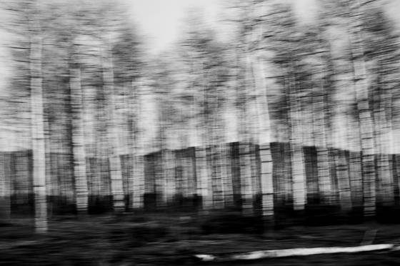 Aspen
