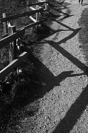 Fence