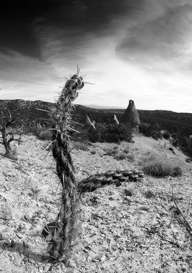 Desert