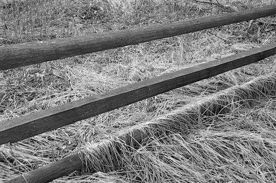 Untitled_01