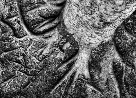 Untitled_3