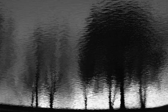 A_brand_new_day