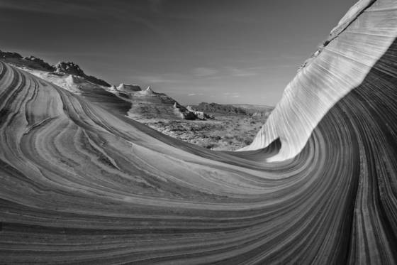 The_wave