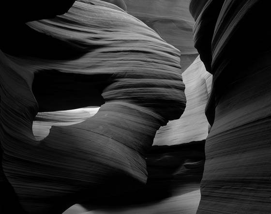Canyon_bust