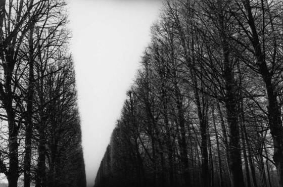 Untitled_1