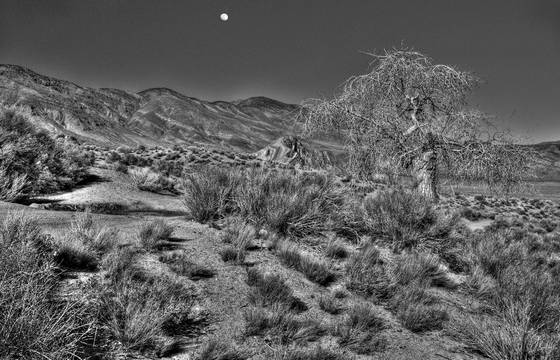 Moonrise_over_striped_butte