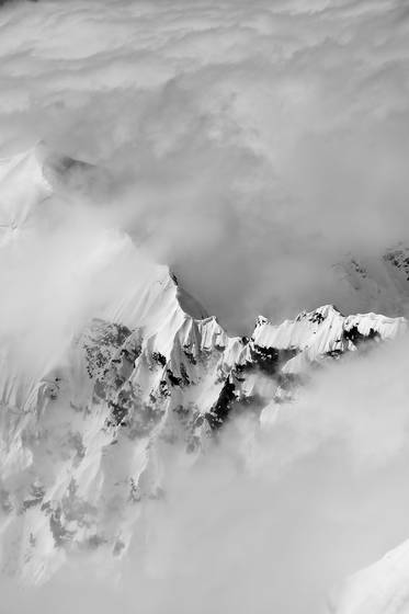 Veiled_ridge
