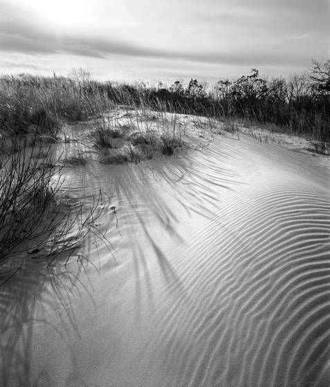 Dune_ripple