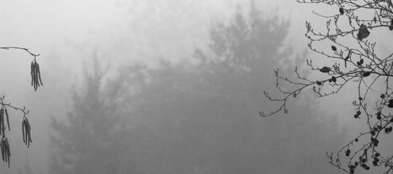 Silence
