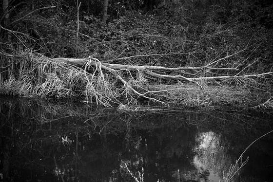 Untitled_2