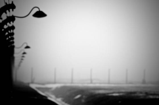Auschwitz_sad_landscape__16
