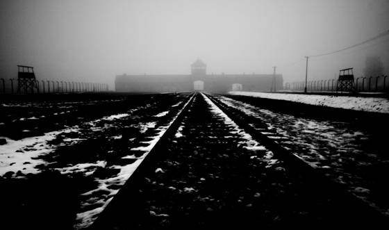Auschwitz_sad_landscape__7