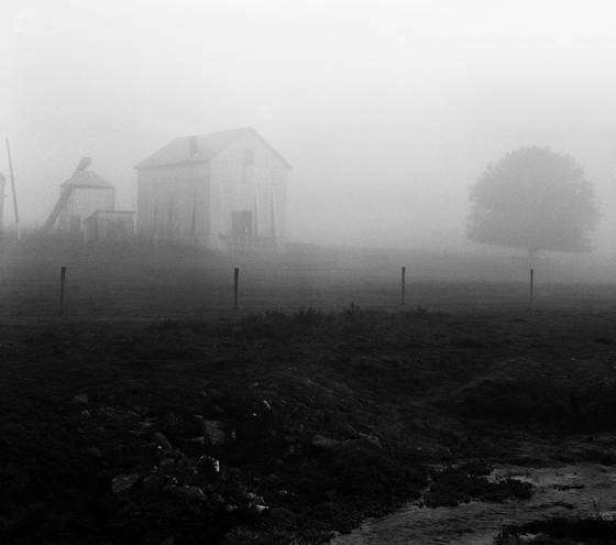 Untitled_6