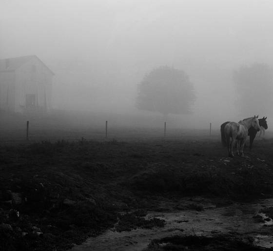 Untitled_7