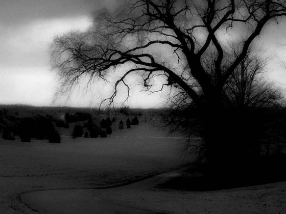 Indiana_1
