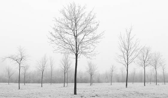 Untitled_16