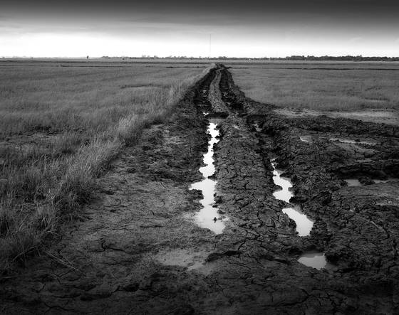 A_road__to_where