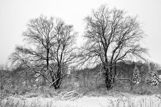 Wisconsin